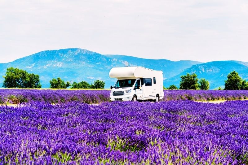 Una autocaravana blanca bajo un cielo despejado rodeada de campos de lavanda con montañas al fondo en Sault Provence