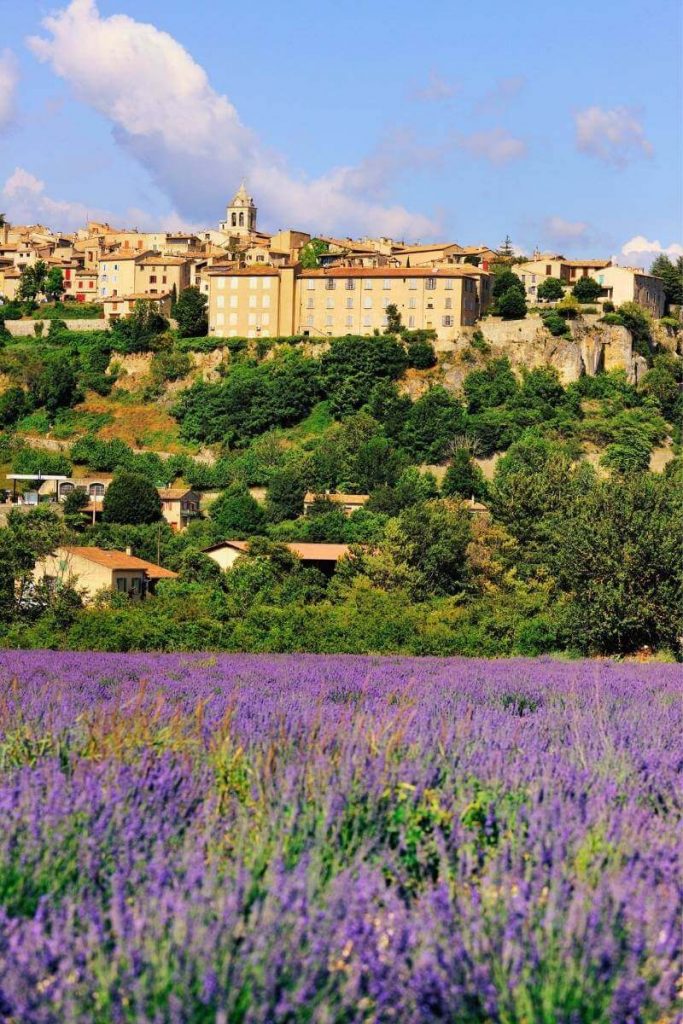 Lavender fields with village in the background