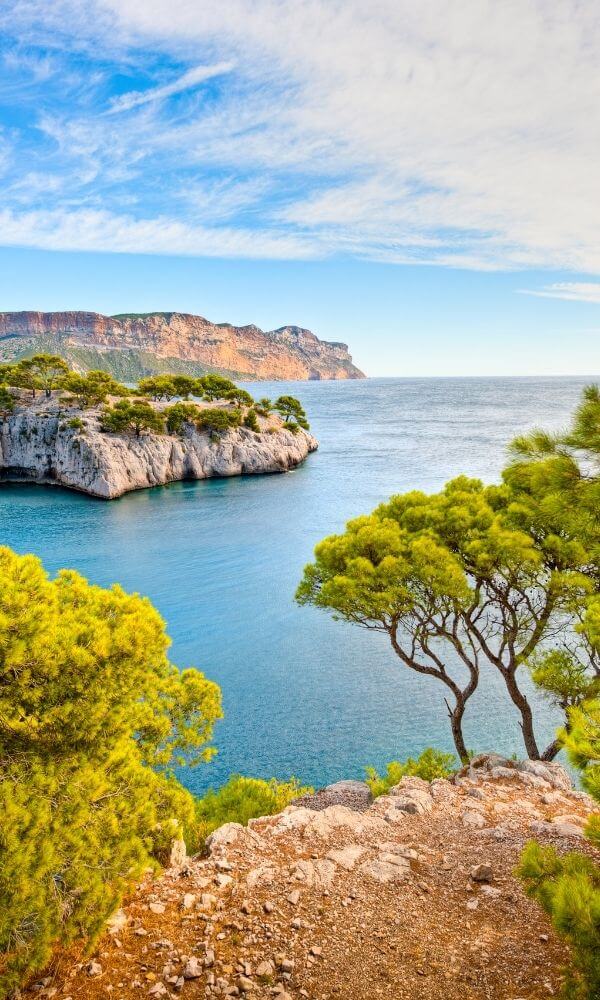 Calanques the blue mediterranean and trees