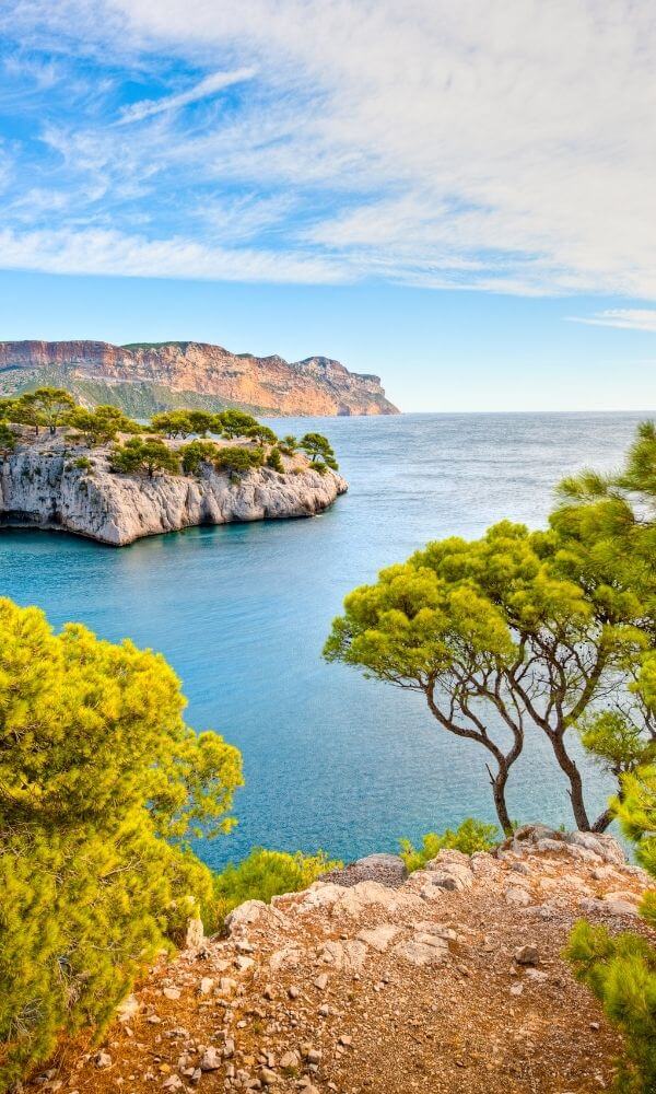 Calanques el azul mediterráneo y árboles