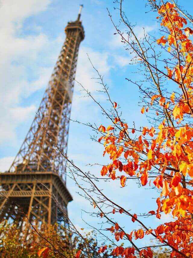 Eiffel tower with the orange leaves in the foreground during the autumn season in France