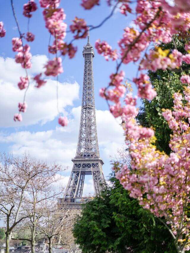 Tower Eiffel with pink flowers to go to for free to save while traveling in France on a budget