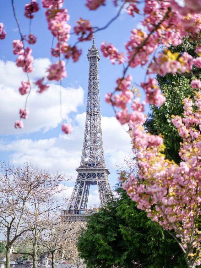 The Seasons in France Weather by Months and Regions (2024) Travel