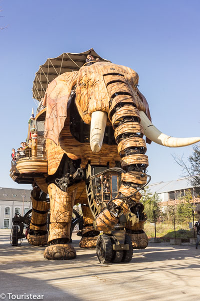 Elefante de Nantes, Países del Loira