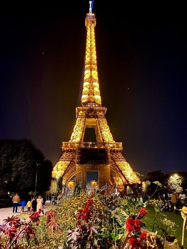 Eiffel Tower at night from Champ de Mars