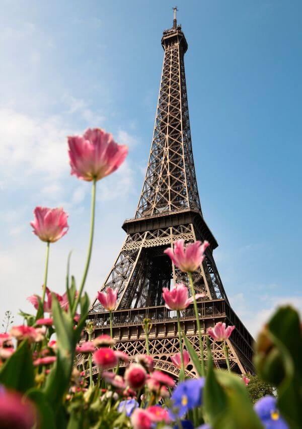 Flowers in front of the Eiffel Tower under the clear blue skies to visit as your first stop in Paris in 7 days