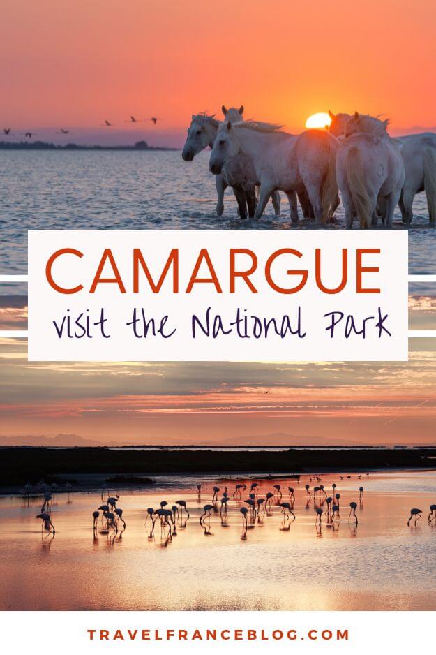 Paris Camargue National Park