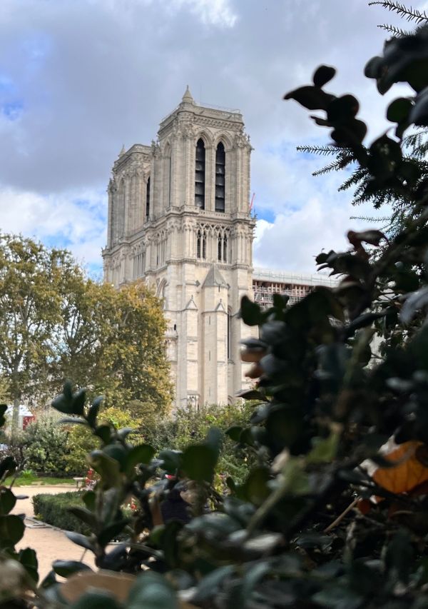 Rene Viviani Square, Cathedral view