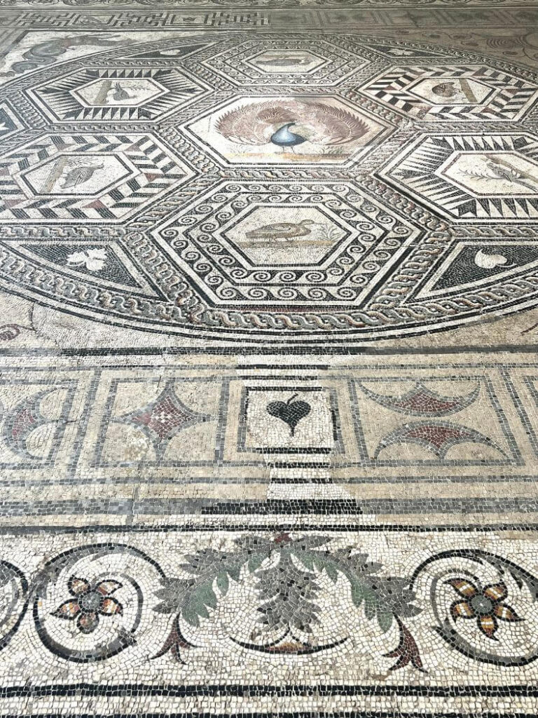vaison la romaine museum mosaicos