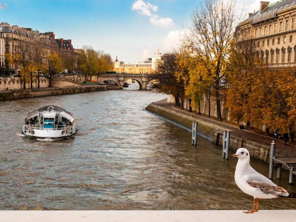 Un crucero por el río mientras los edificios están a un lado con árboles en tonos amarillos, marrones y naranjas durante el mes de noviembre en París
