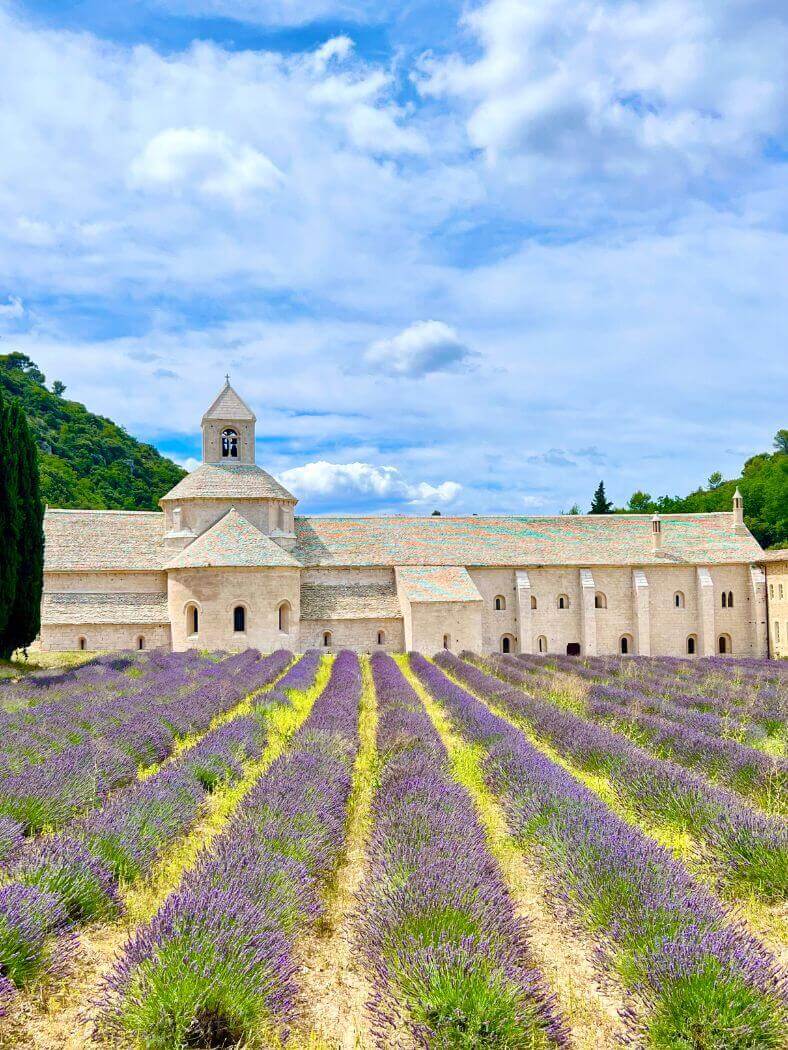 Senanque Abbey