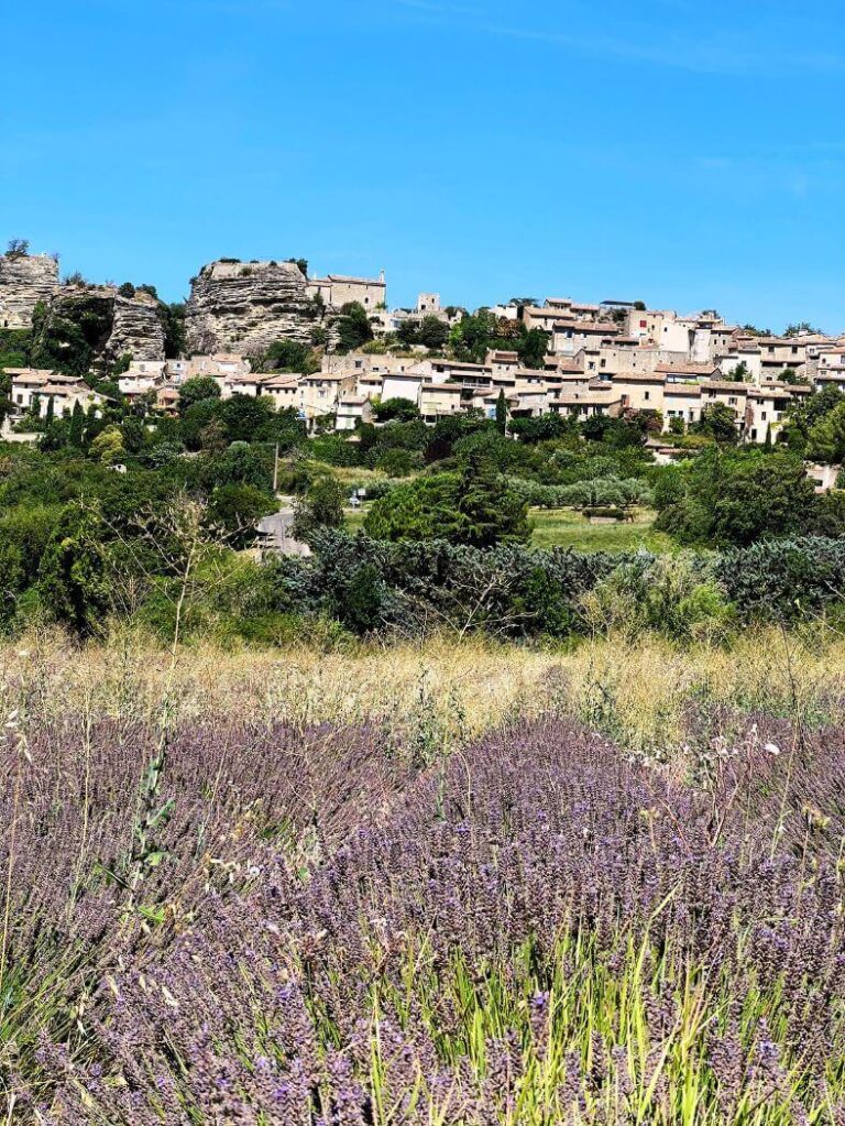 Saignon views from Lavender Field in Luberon Provence