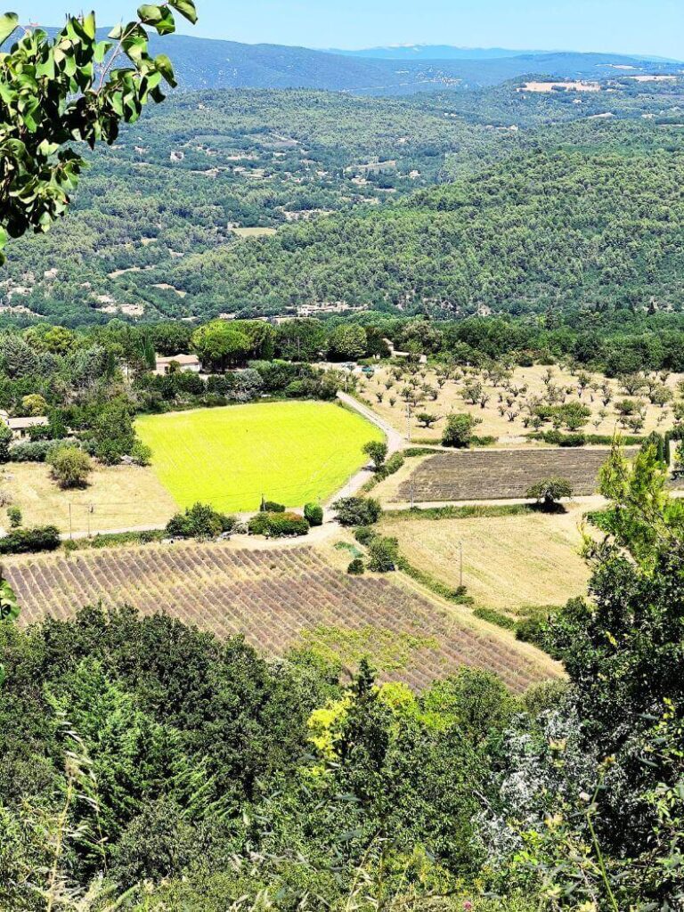 Campos de lavanda del Luberon desde la roca